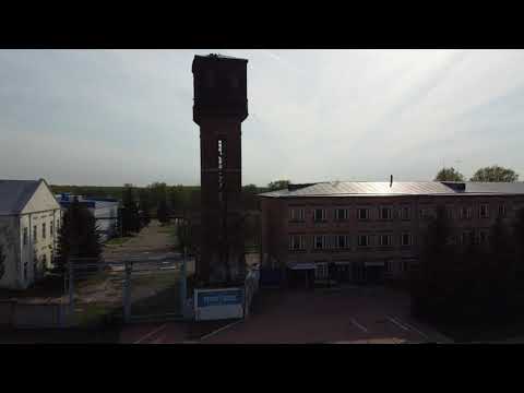 Видео: Вача с высоты птичьего полета