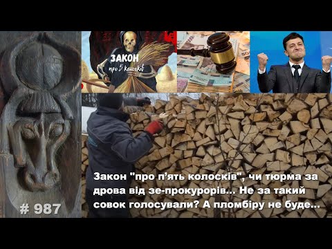 Видео: Закон про п’ять колосків, чи тюрма за дрова від зе-прокурорів… Не так повернення в совок уявляли?