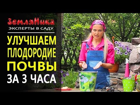 Видео: Как сделать почву плодородной? Способы улучшения почвы.