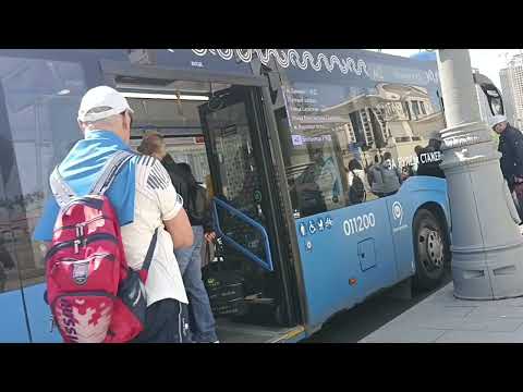 Видео: Московские автобусы/Moscow buses 2023г.