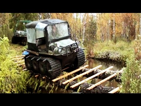 Видео: НА АРГО НА ОХОТУ, часть 2