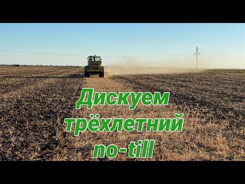 Видео: Дискуем трёхлетний no-till