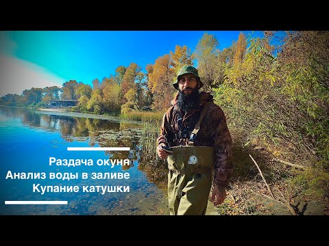 Видео: Раздача окуня на Трухановом острове, анализ воды и купание катушки.#fish #fishingtips