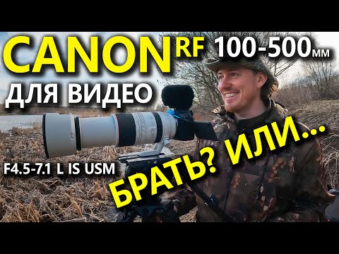 Видео: Видео на Canon RF 100-500mm F4.5-7.1 L IS USM с Canon R5