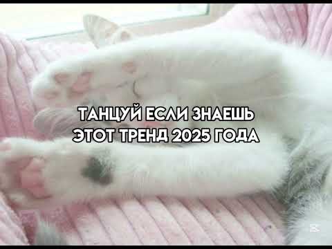 Видео: ТАНЦУЙ ЕСЛИ ЗНАЕШЬ ЭТОТ ТРЕНД 2025 ГОДА ! #танцуйеслизнаешьэтоттренд #тренды2025 #тренды