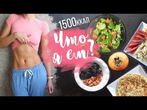 Видео: ЧТО Я ЕМ? #ПП VLOG - ДНЕВНИК ПИТАНИЯ за ДЕНЬ🍅1500ккал🌟Olya Pins