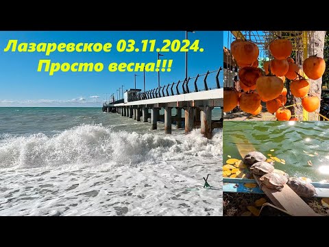 Видео: Погода в Лазаревском 03.11.2024 Просто весна!!! 🌴ЛАЗАРЕВСКОЕ СЕГОДНЯ🌴СОЧИ.