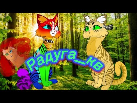 Видео: Реакция на "Радугу_кв"