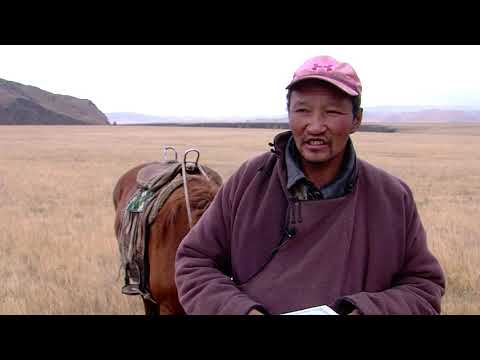 Видео: Цуврал 8: Хоршооны хамтын ажиллагаа