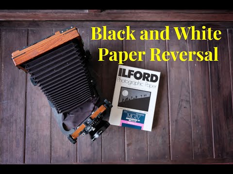 Видео: Пленочная фотография, черно-белая бумага, перевернутая