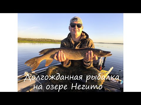Видео: Долгожданная рыбалка на озере Негито!