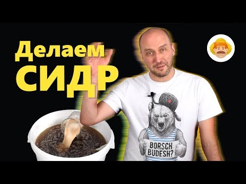 Видео: Как сделать сидр? Домашний сидр из яблочного сока