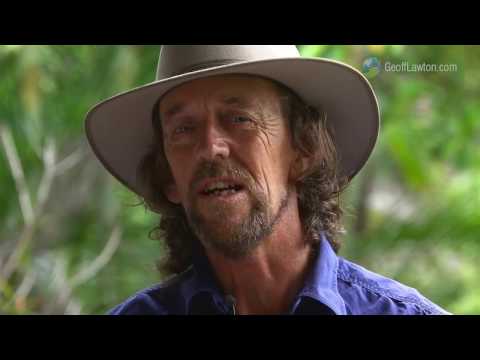 Видео: Джефф Лотон "Будущее зон с холодным климатом"