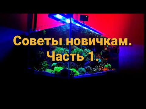 Видео: Советы новичкам. Часть 1.