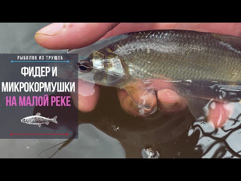 Видео: Фидер, микро кормушки и тактика ловли на малой реке