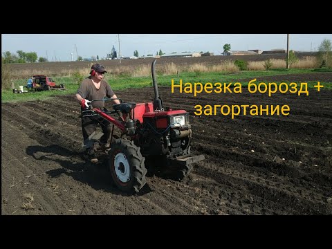 Видео: Как быстро и прямолинейно посадить картофель