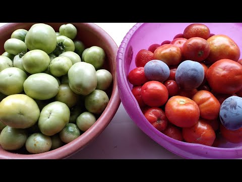 Видео: 2025 йил  2 октябрь🍅🍅🍅🍅