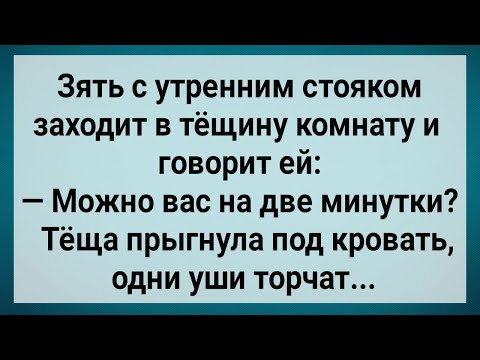 Видео: Как Зять с Утренним Стояком Тещу Напугал! Сборник Свежих Анекдотов! Юмор!.