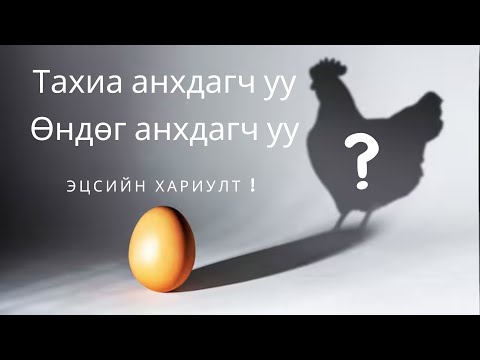 Видео: Өдөр бүр өндөг идвэл юу болох вэ? | Өндөгний ашиг тус ба нийтлэг буруу ойлголтууд!