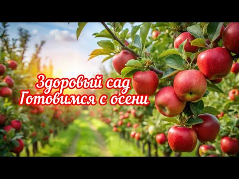 Видео: Подготовка сада к зимовке.Осенняя обработка сада от болезней.