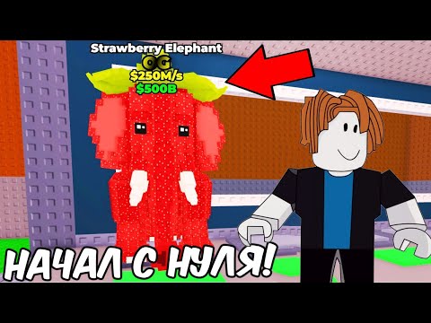 Видео: 😱НАЧАЛ С НУЛЯ, но АДМИН ДАЛ МНЕ STRAWBERRY ELEPHANT в Steal a Brainrot!