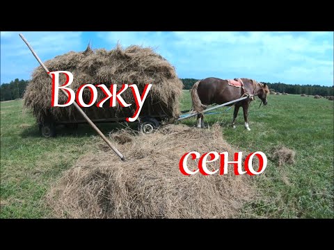 Видео: Хроники сенокоса. Жизнь на Лесном Хуторе.