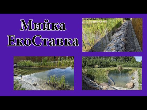 Видео: Мийка ЕкоСтавка