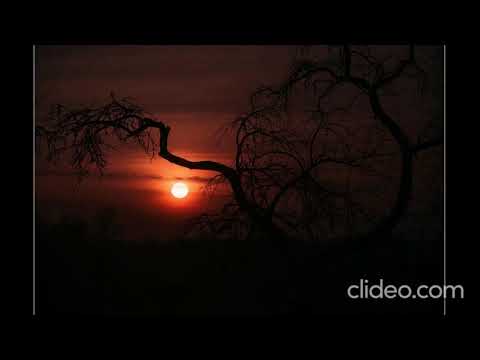 Видео: Вечерний морок ( песня , стихи Наталии Карпа, музыка ИИ, 2025 год )