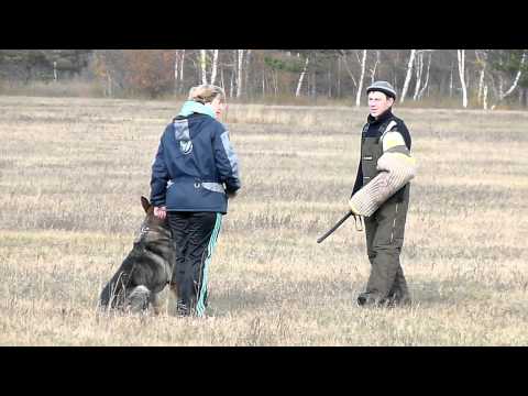 Видео: 6.10.13, ЗКС, Иркутск, 1-е место