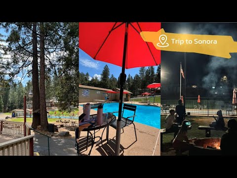 Видео: Trip to Sonora🚌| выходные в горах🗻|Worldlink orientation week|