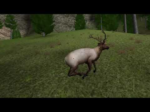 Видео: Hunting Unlimited 2009 Прохождение 3. Урок 3