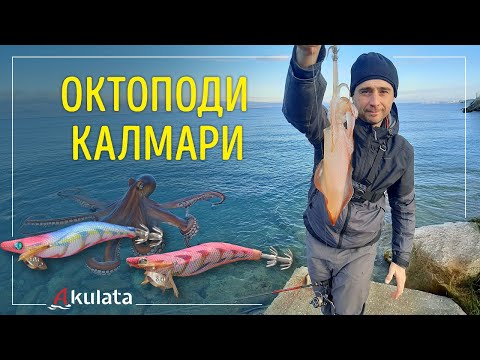 Видео: За октоподи и калмари в Гърция с примамки калмариери