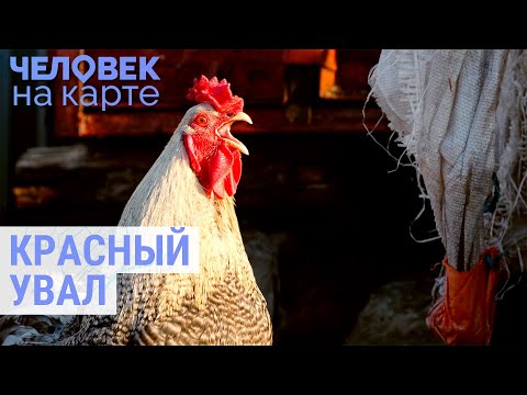 Видео: Красный Увал: Марина и Алексей - семейная жизнь, труд и сельское хозяйство | ЧЕЛОВЕК НА КАРТЕ