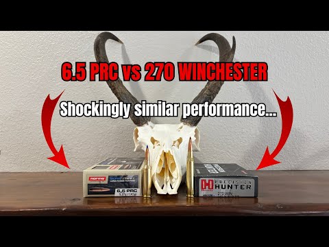 Видео: 6.5 PRC против 270 Winchester | Жестокая правда