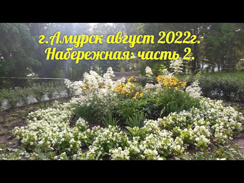 Видео: Набережная г.Амурск Август 2022г. часть 2