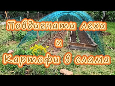 Видео: Повдигнати лехи и картофи в слама