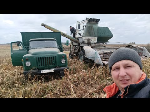 Видео: 17 жовтня 2025 р.Батько працює  я нічого 🤷 жнива кукурудзи 🌽 більше ніяких експерименту з гібридами💲