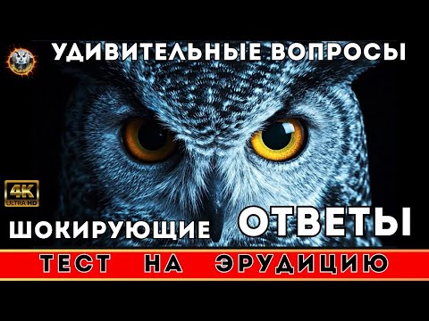 Видео: Сможешь ли ты ответить на эти необычные вопросы?