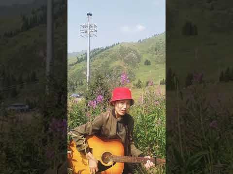 Видео: Ақ гүлдер көк гүлдер гитарада әндер