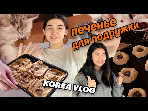 Видео: Рецепт печенья от ХёнБи и Джевел/지웰이랑 감으로 쿠키만들기/KOREA VLOG
