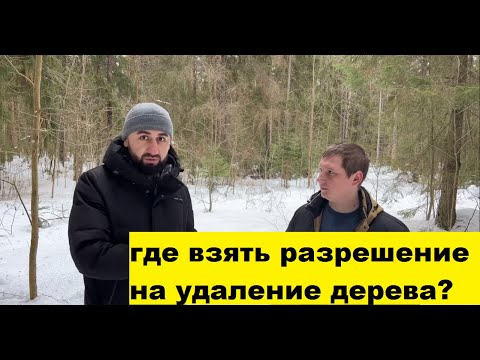 Видео: Где взять разрешение на удаление дерева?