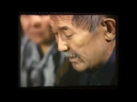 Видео: Айтарихы Шәмші Қалдаяқов