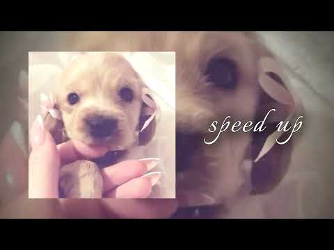Видео: —Плейлист популярных песен из тик тока🎧🔆 // speed up #speedup #плейлист #музыка