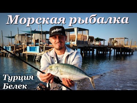 Видео: ЭТИ КОНИ ГНУТ СПИННИНГ В ДУГУ🎣 Морская рыбалка 🇹🇷Турция, Белек Hoвый FAVORITE BLUE BIRD BB1-764ULT-T