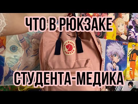 Видео: Что в рюкзаке студента-медика /что я брала на пары на 1-3 курсе