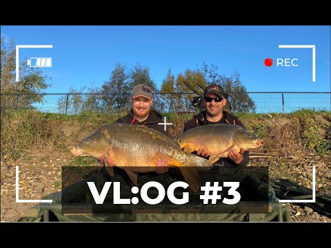 Видео: VL:OG №3 | BIG FISH 🐟 | Побив свій рекорд | Ловимо 100 кілограм коропа на 1.5 кілограми прикормки