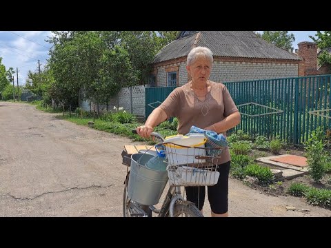 Видео: С пылу жару. Десерт