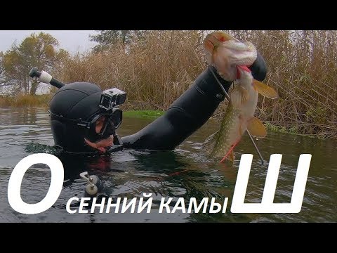 Видео: ПОДВОДНАЯ ОХОТА Как не заблудиться в камышах осенью с арбалетом