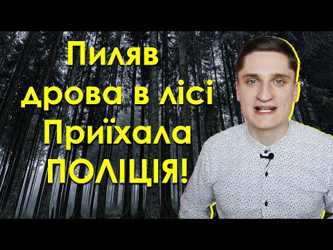 Видео: Пиляв дрова в лісі - приїхала поліція! Що робити?