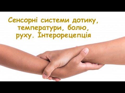 Видео: Сенсорні системи руху, дотику, температури, болю